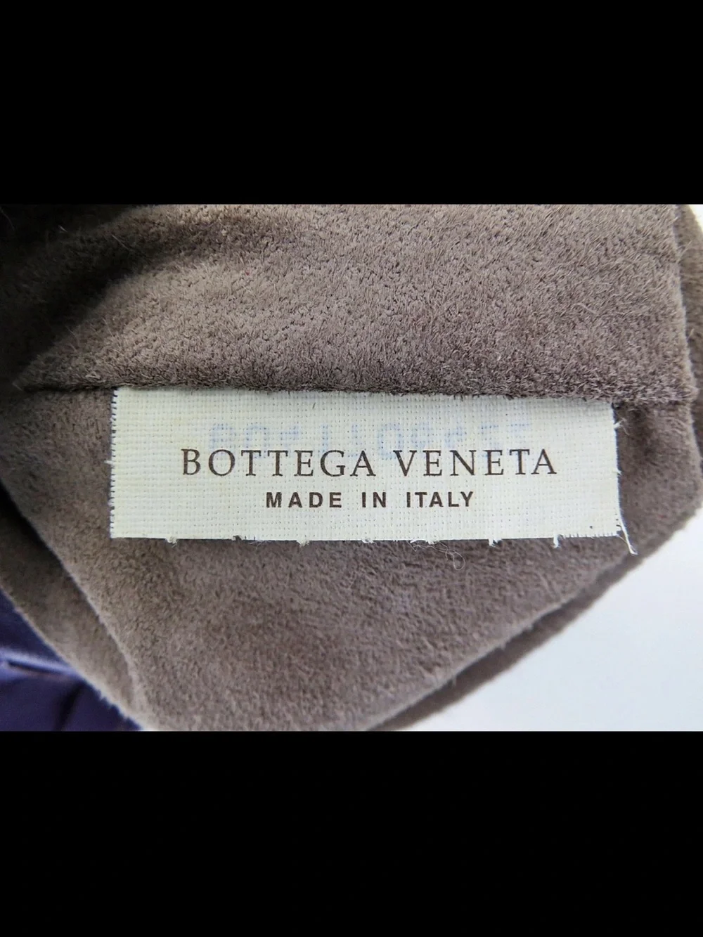 Bottega Veneta Purple Woven Leather Hobo